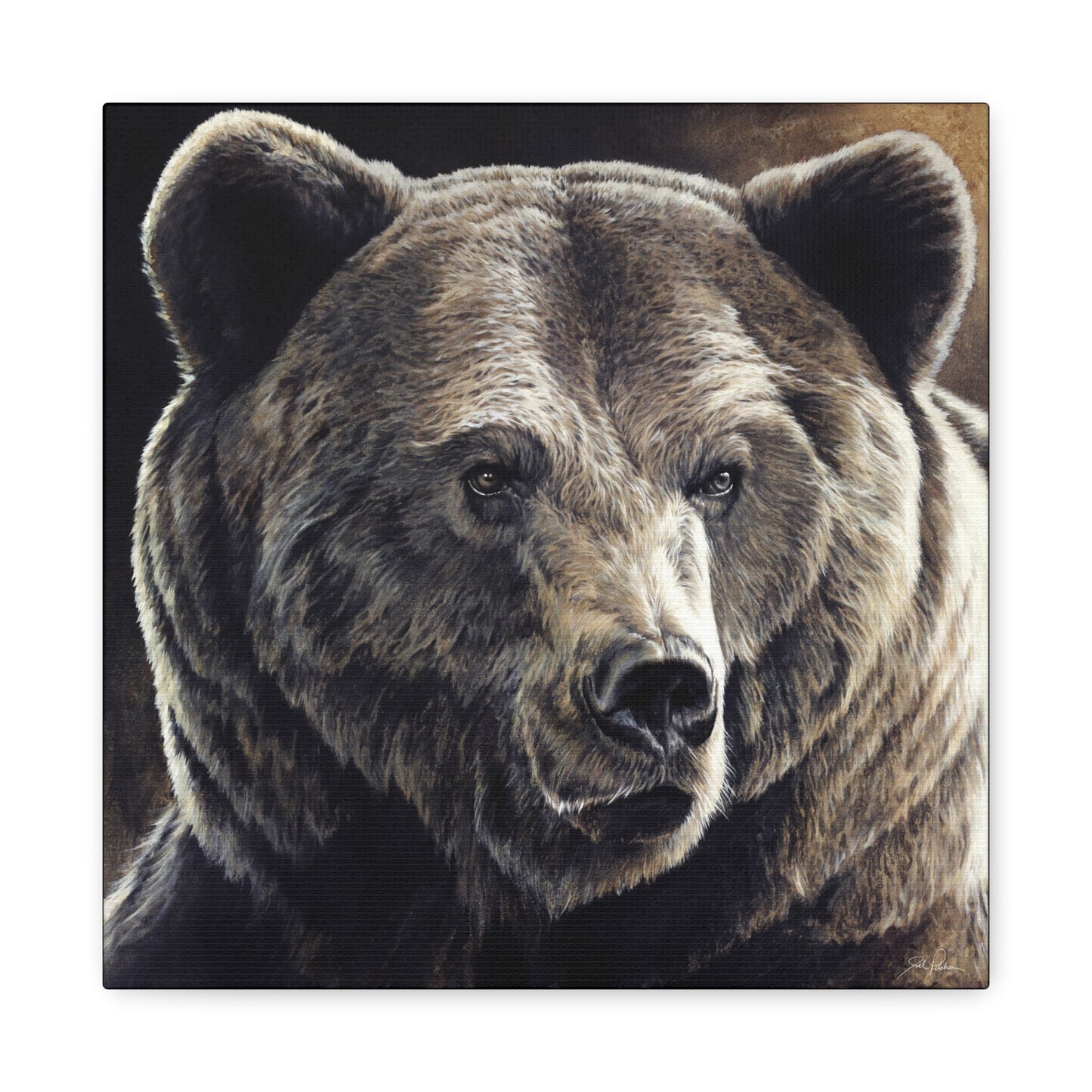 "Kodiak" Stretched Canvas