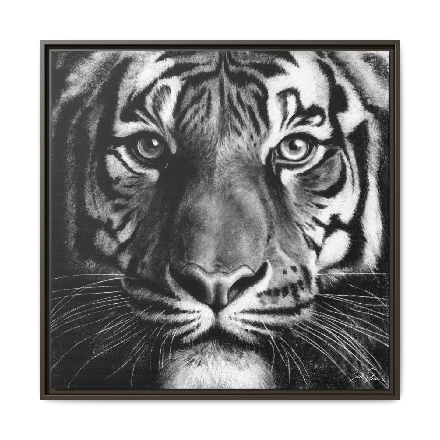 "Tiger" Framed Canvas