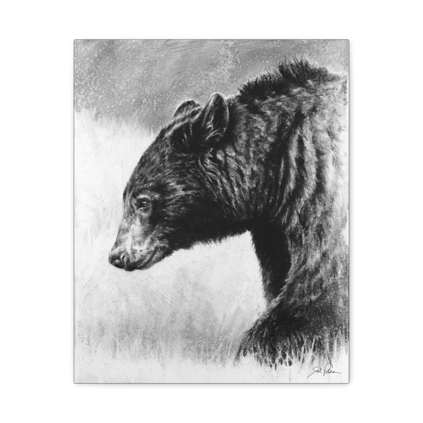 "Burly Bear" Stretched Canvas