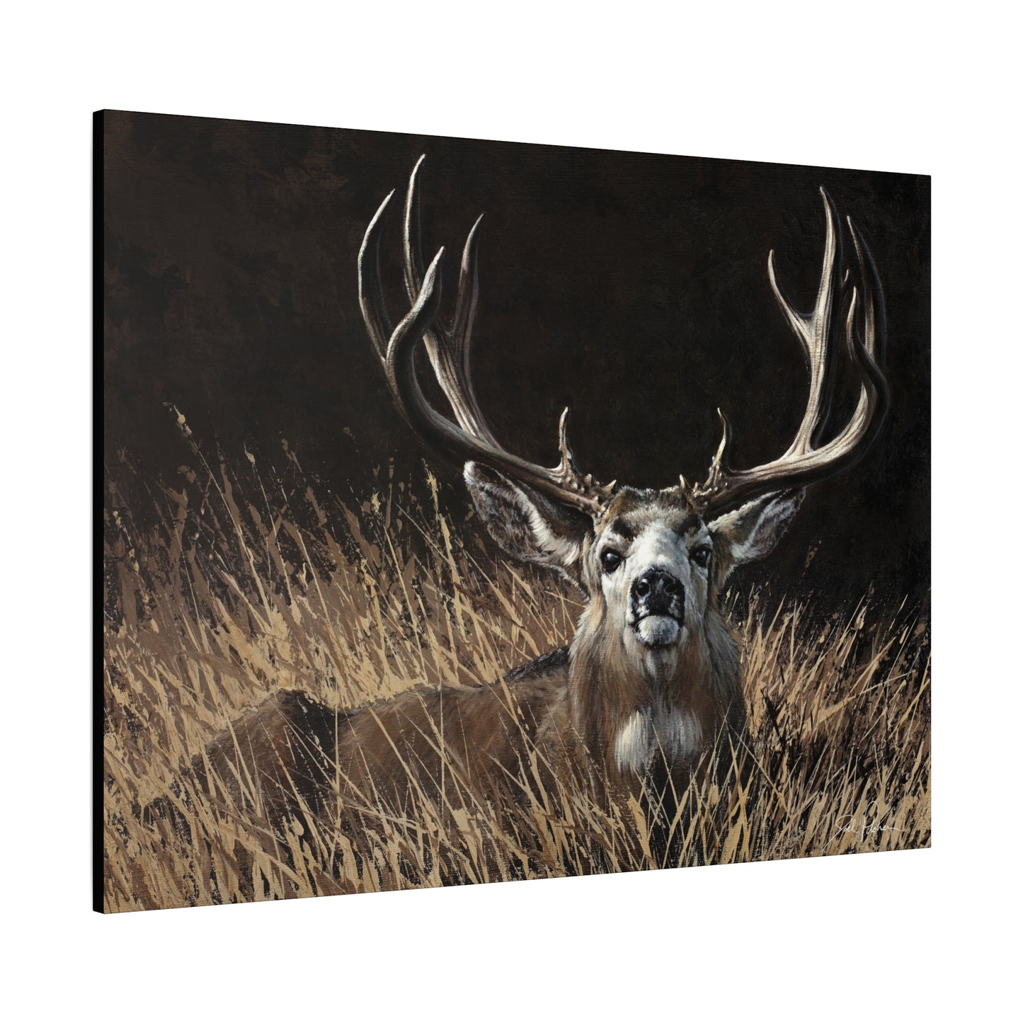 "Eye Contact" Stretched Canvas