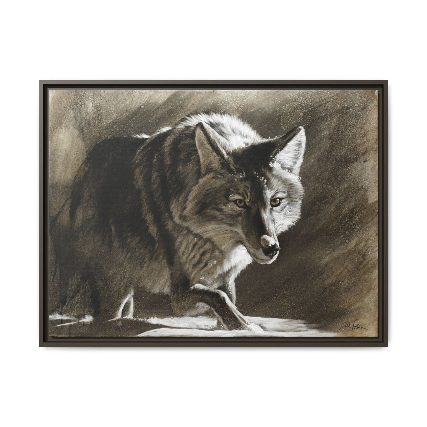 "Coyote" Framed Canvas