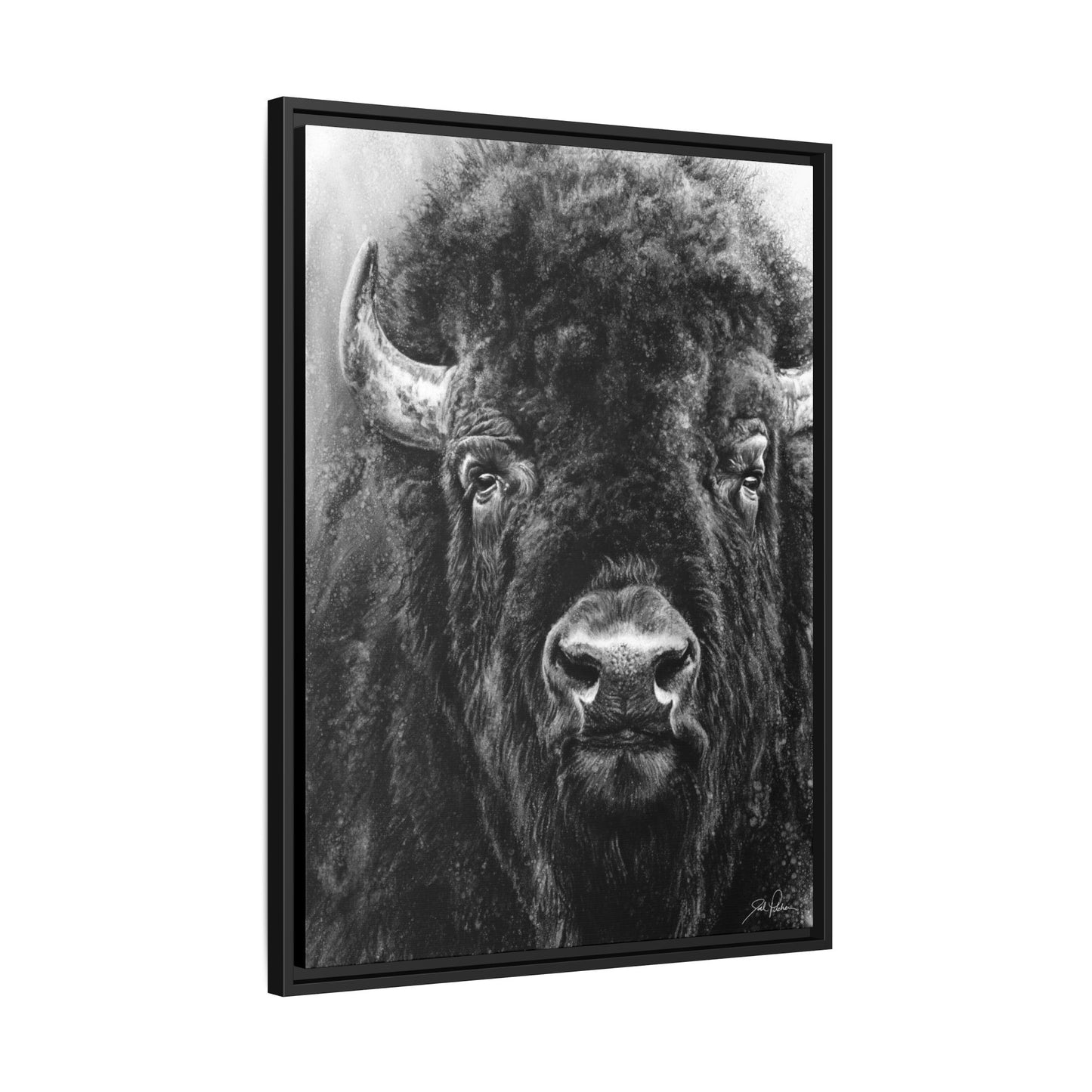 "Tatanka" Framed Canvas