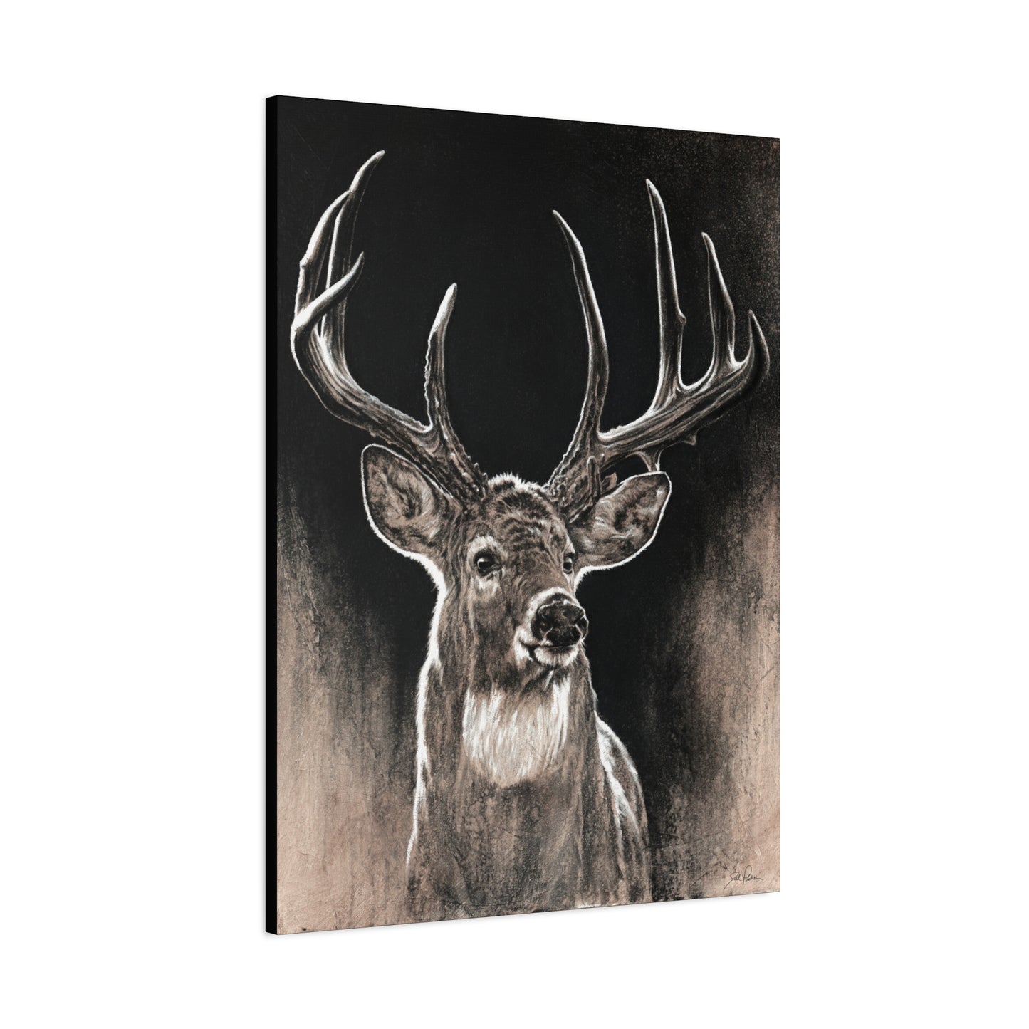 "Backlit Buck" Stretched Canvas