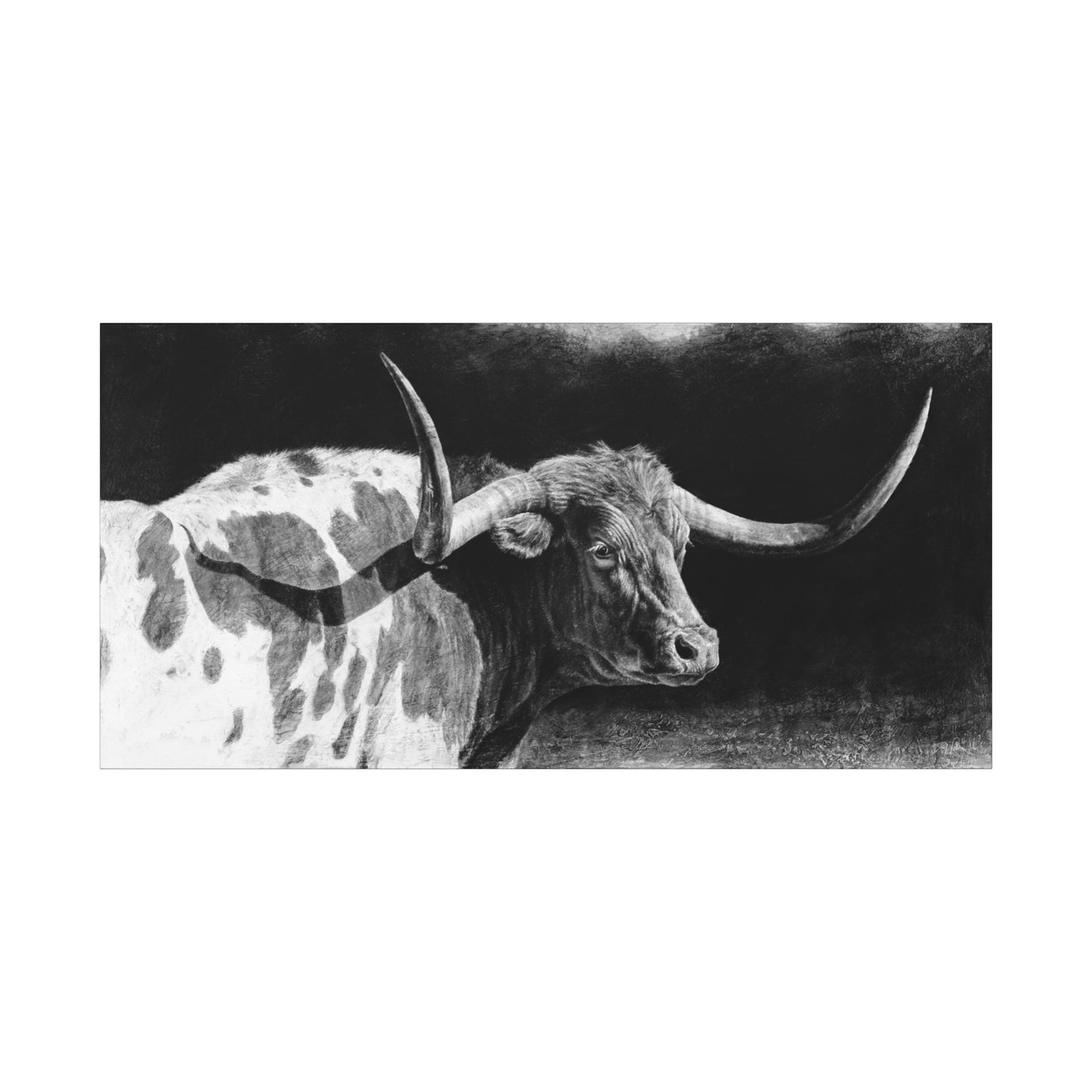 "Longhorn II" Stretched Canvas
