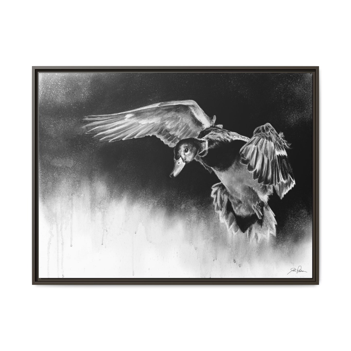 "Controlled Descent" Framed Canvas