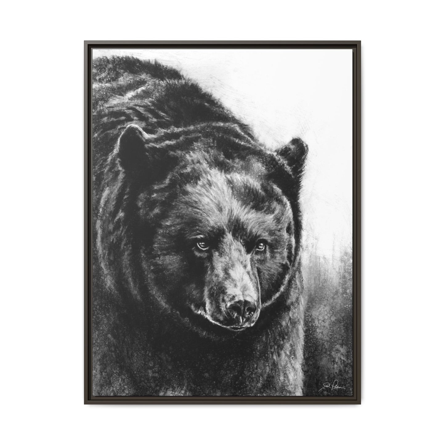 "Black Bear" Framed Canvas