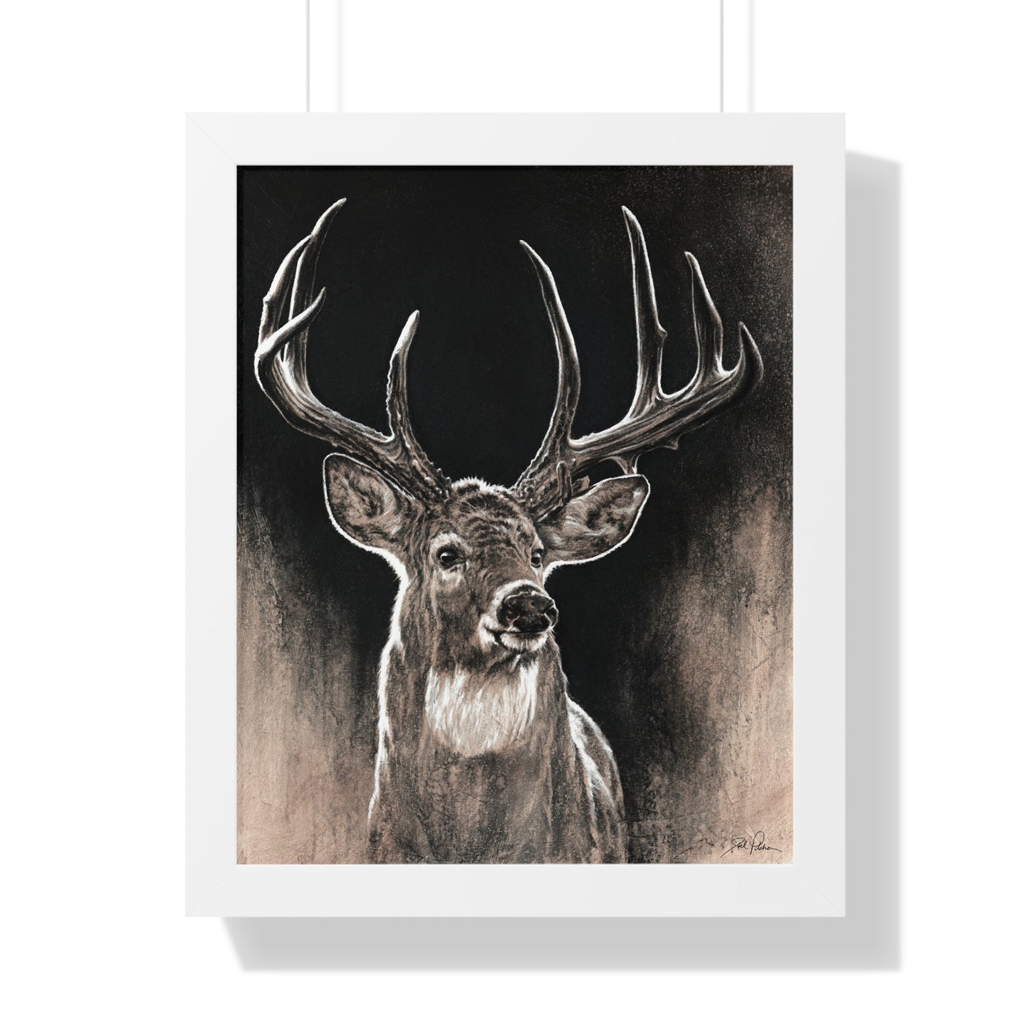 "Backlit Buck" Framed Paper Print
