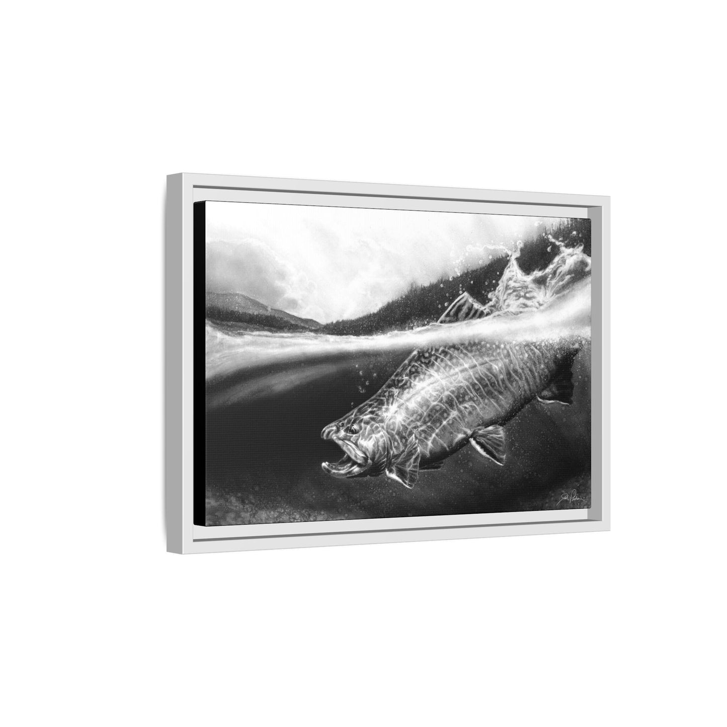 "Brook Trout" Framed Canvas