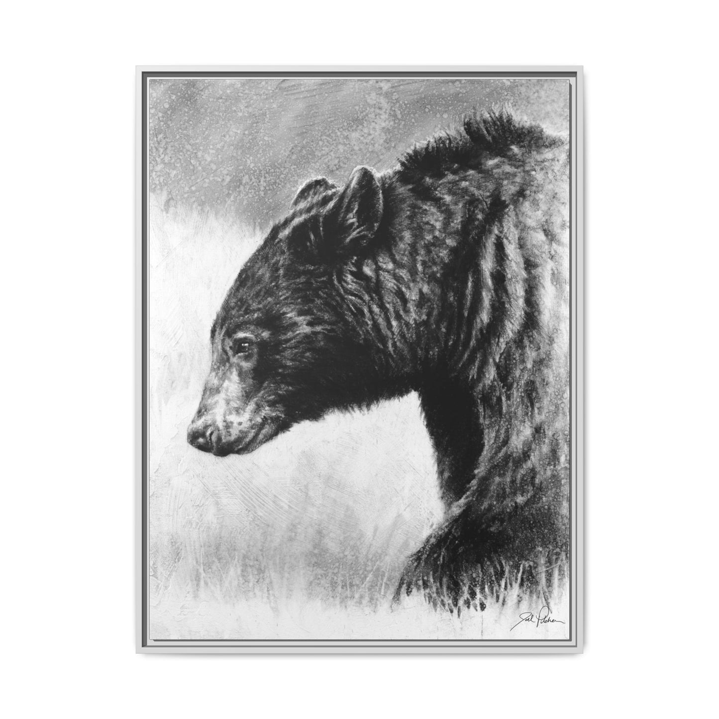 "Burly Bear" Framed Canvas