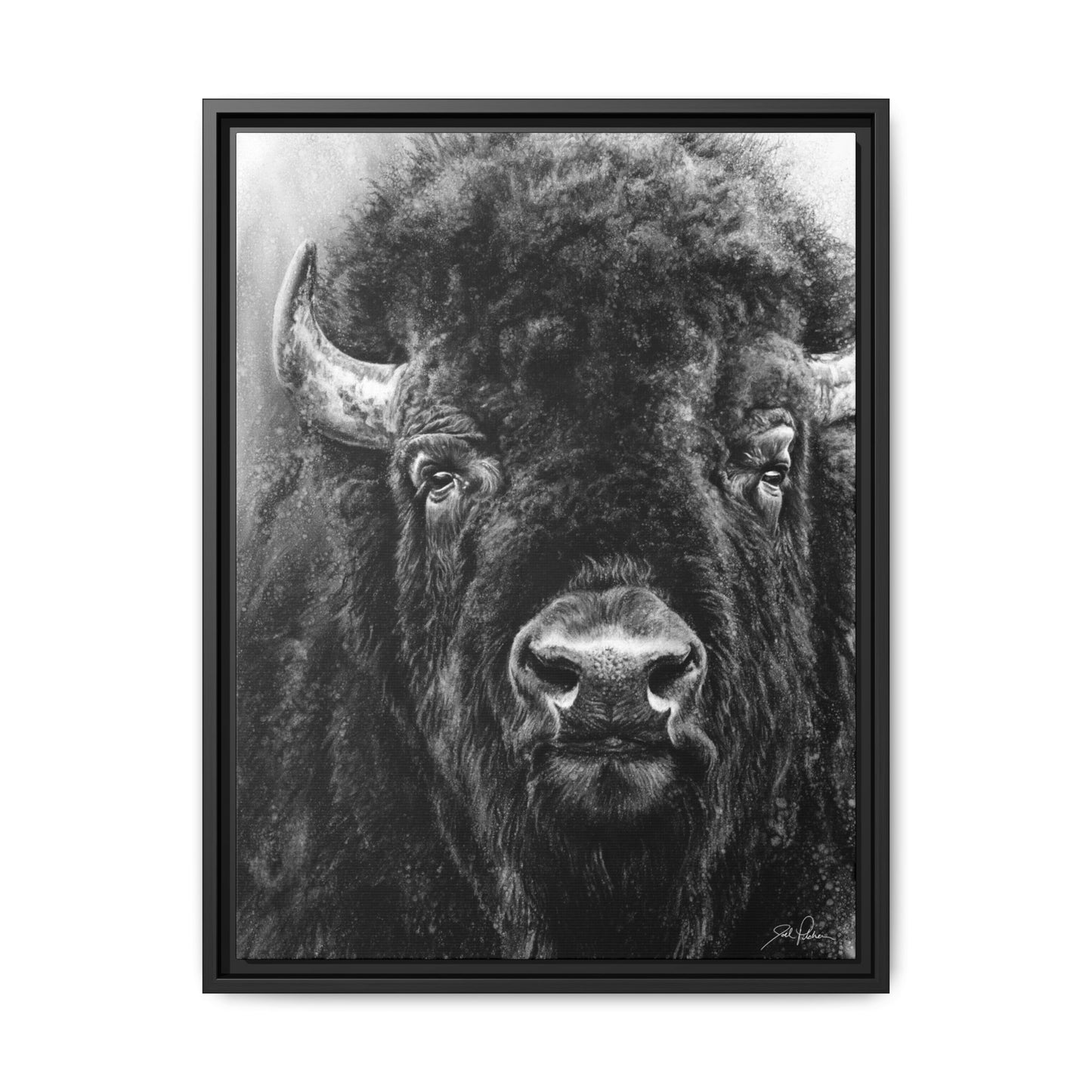 "Tatanka" Framed Canvas