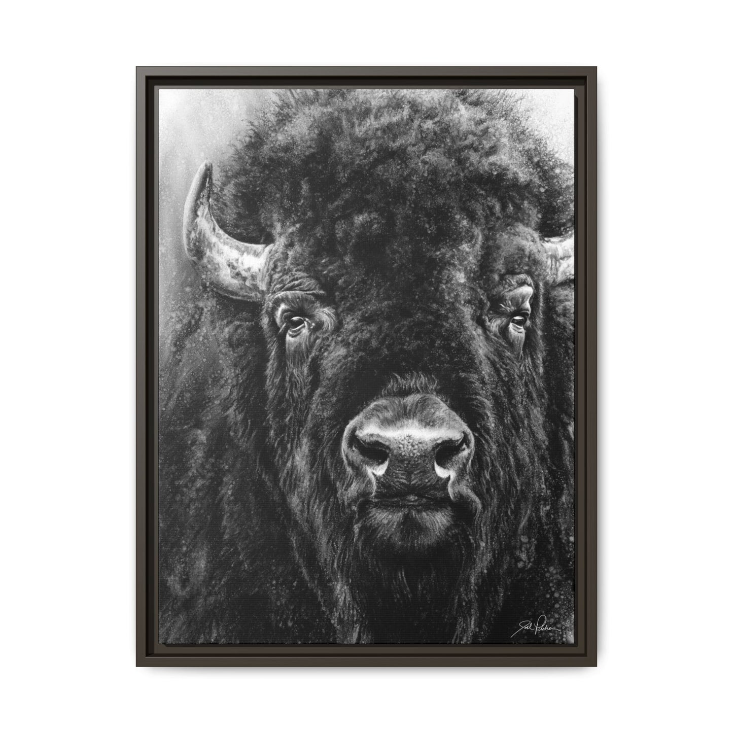 "Tatanka" Framed Canvas