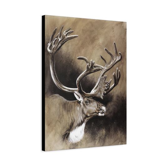 "Caribou" Stretched Canvas