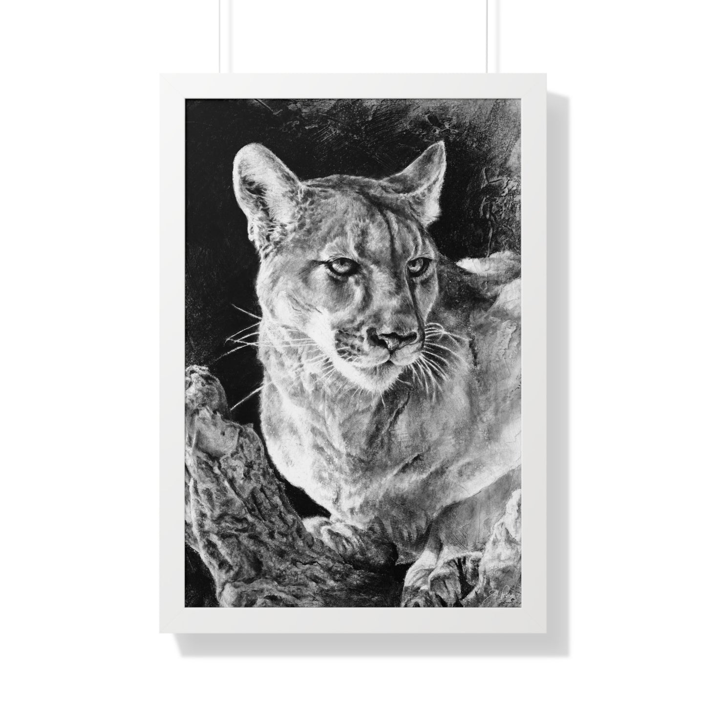 "Mountain Lion" Framed Paper Print
