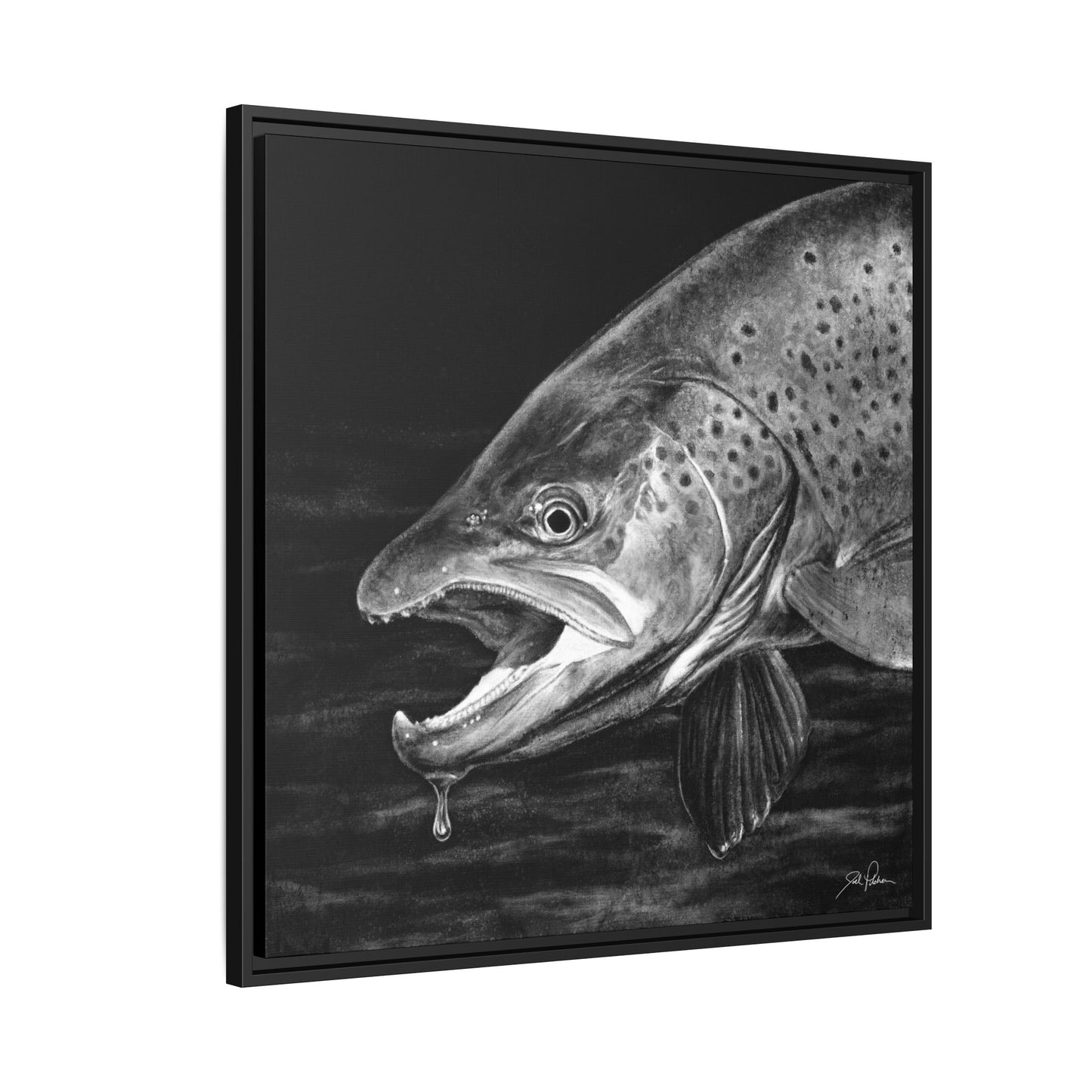 "Brown Trout" Framed Canvas