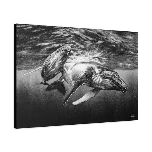 "Humpback Whales" Stretched Canvas