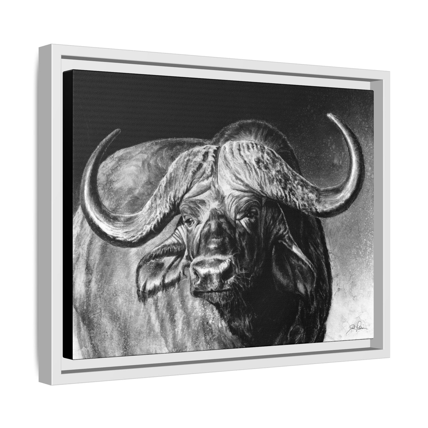"Cape Buffalo" Framed Canvas