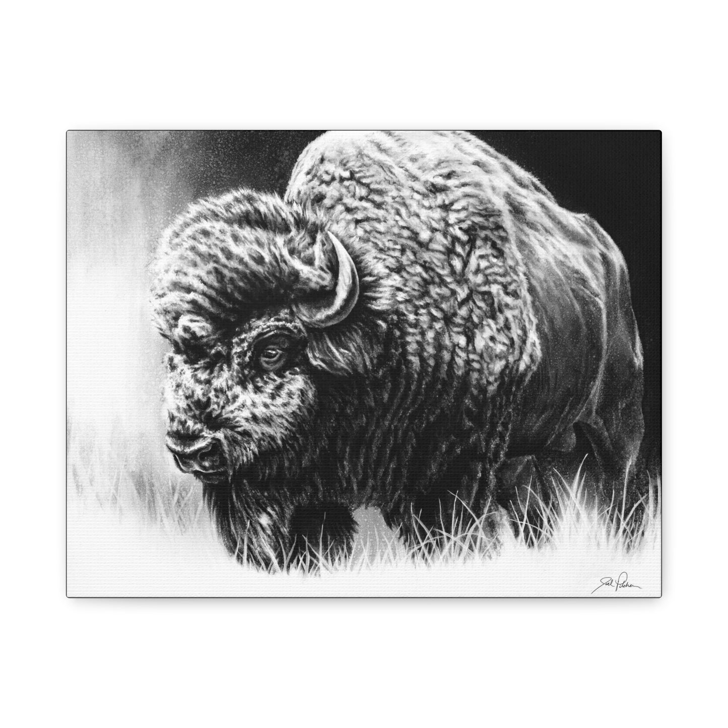 "Bull Dozer" Stretched Canvas