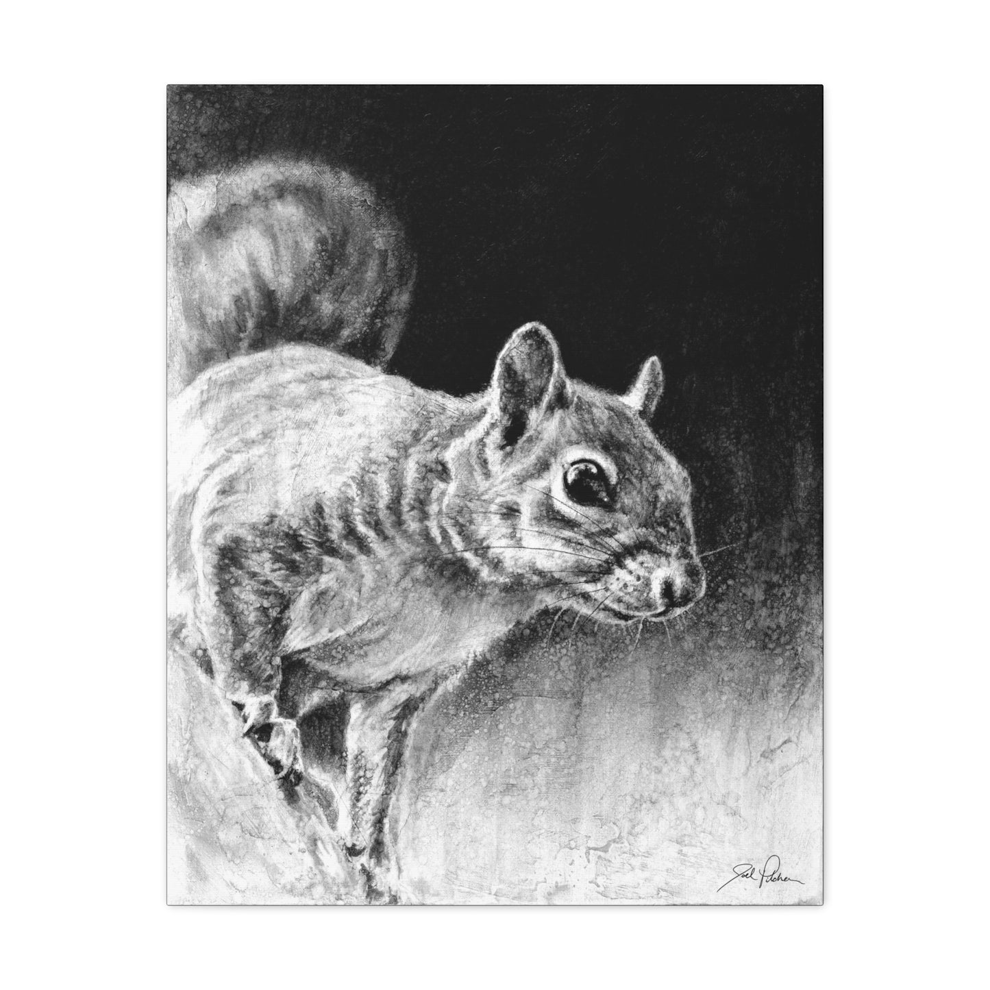 "Squirrel" Stretched Canvas