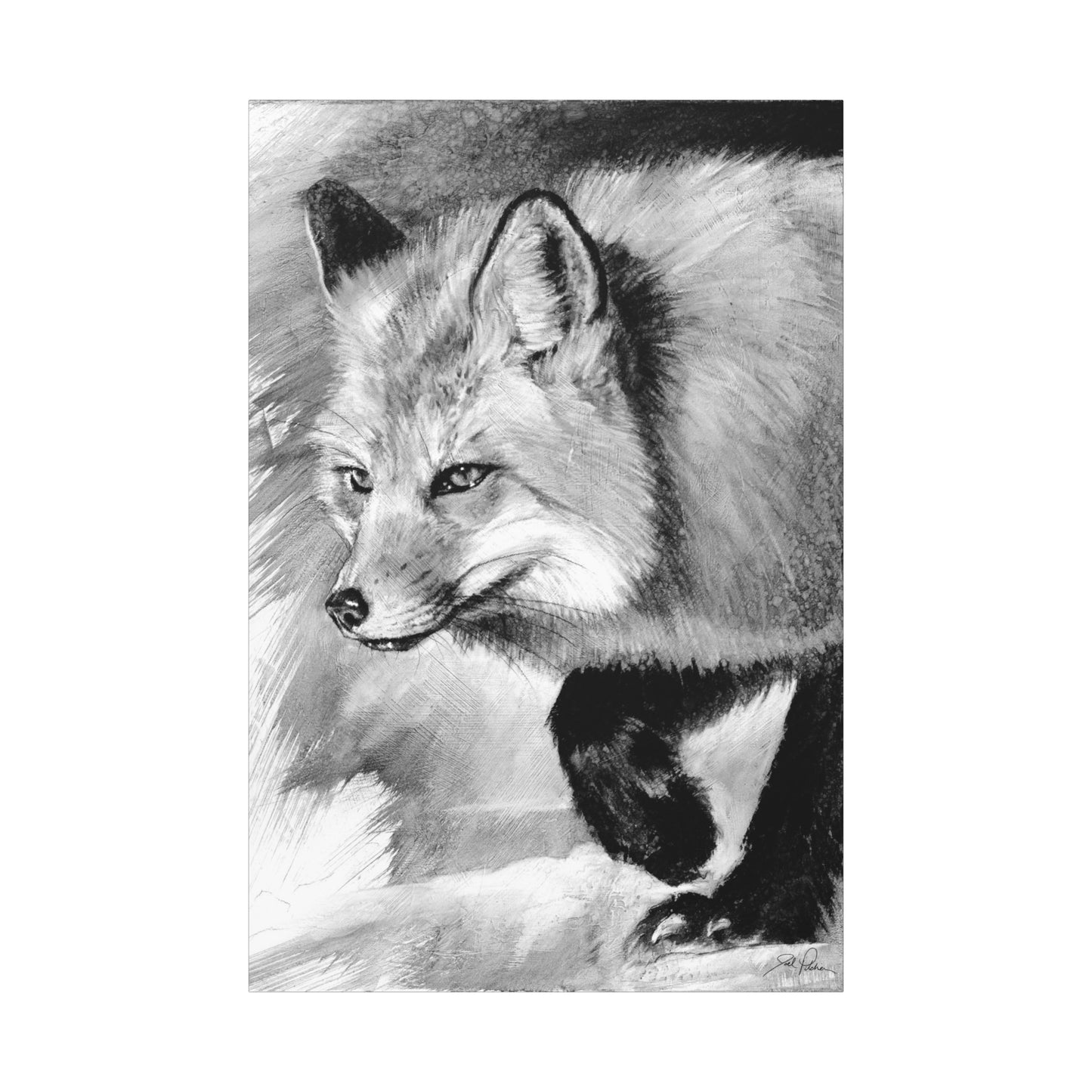 "Fox" Stretched Canvas