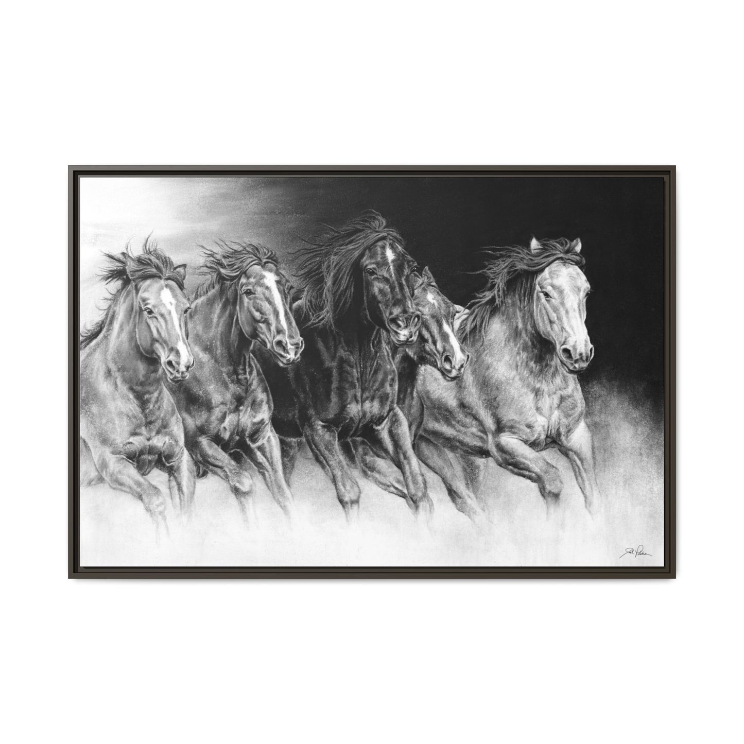 "Wild Bunch" Framed Canvas