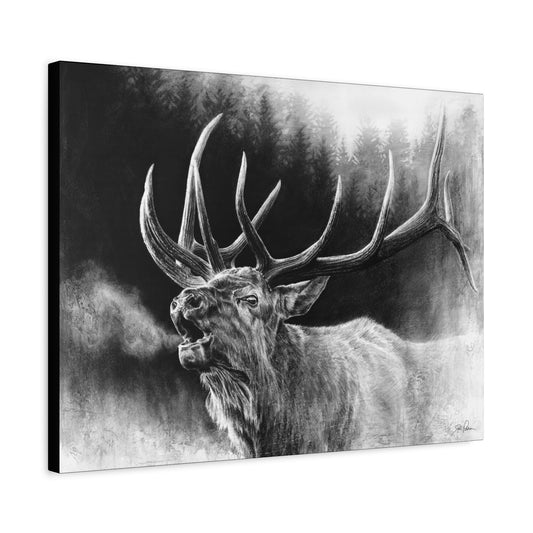 "Bugle Boy" Stretched Canvas