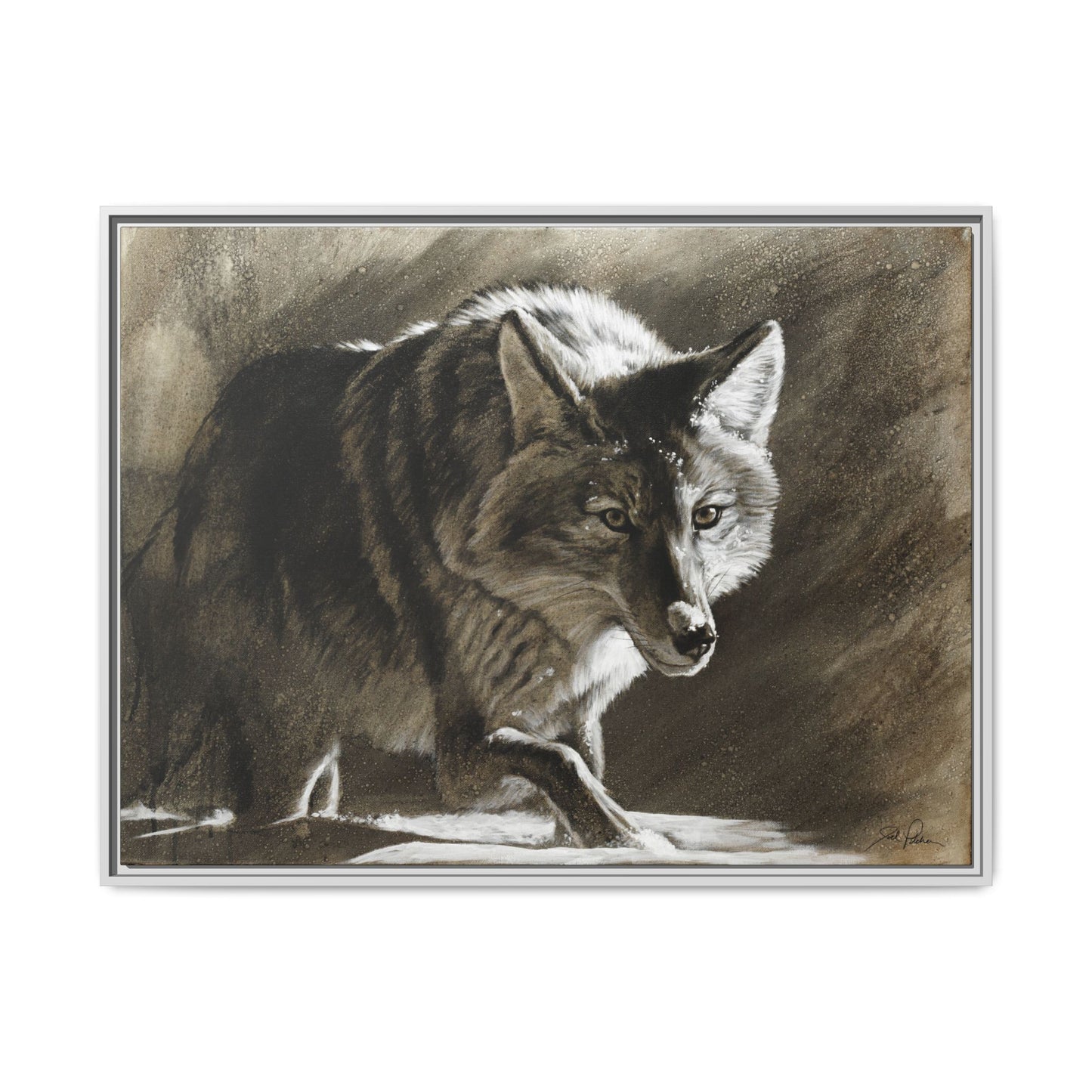 "Coyote" Framed Canvas