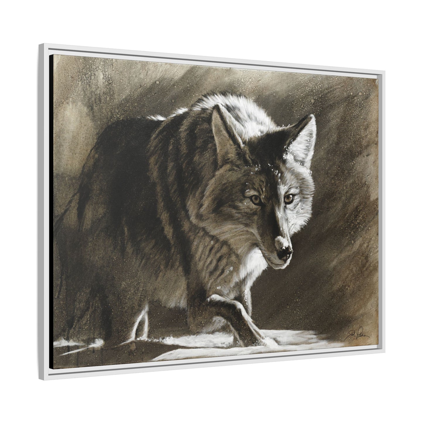 "Coyote" Framed Canvas