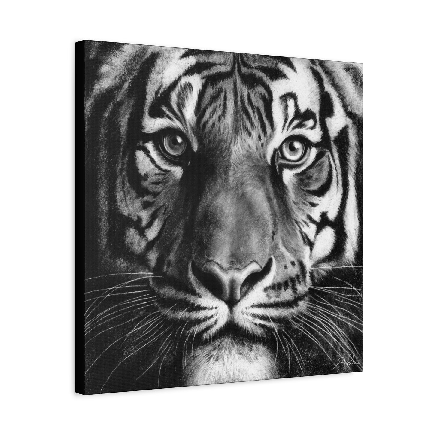"Tiger" Stretched Canvas