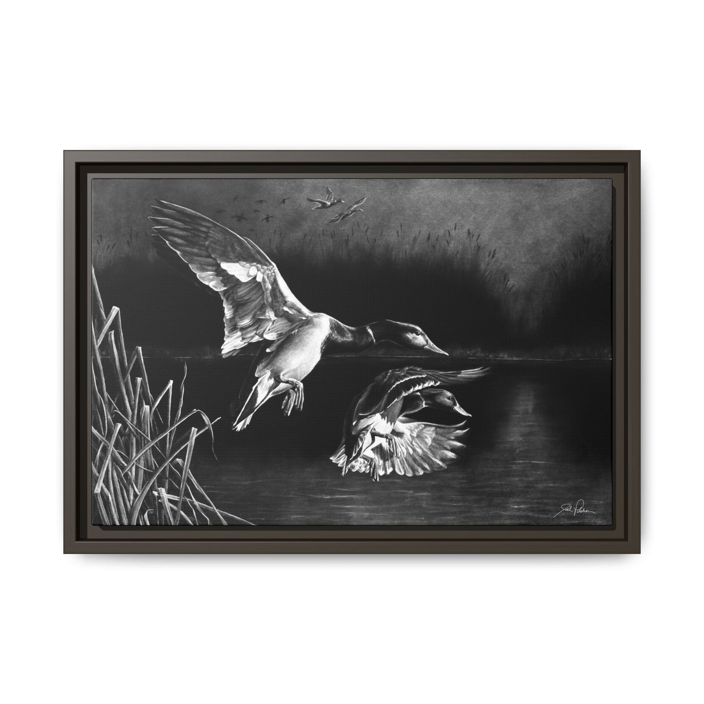 "Banded Brothers" Framed Canvas