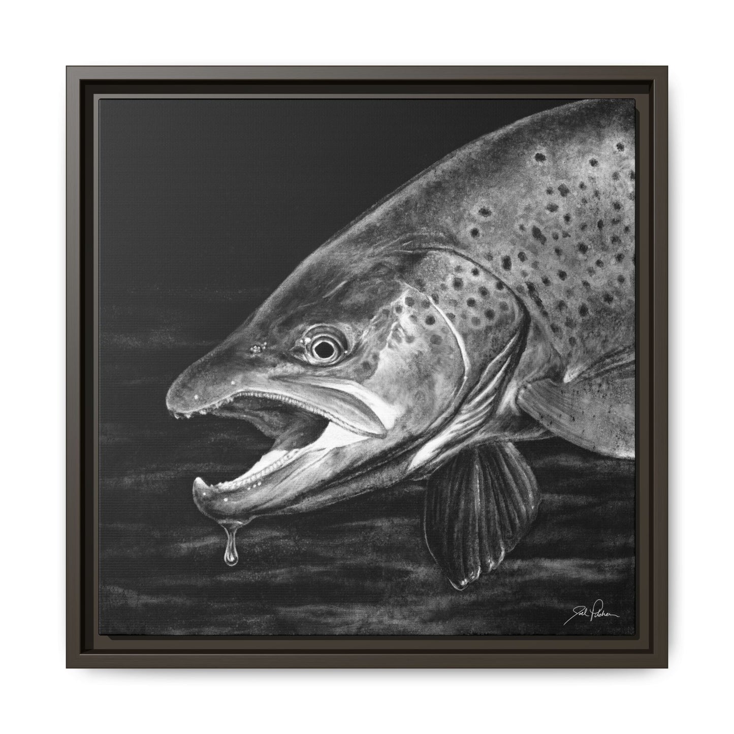 "Brown Trout" Framed Canvas