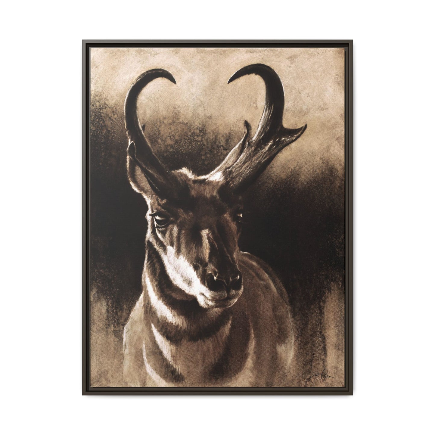 "Pronghorn" Framed Canvas