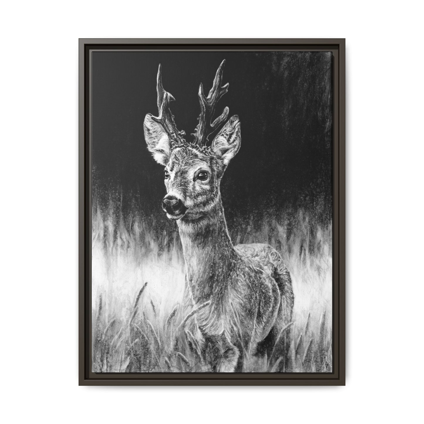 "Roe Deer" Framed Canvas