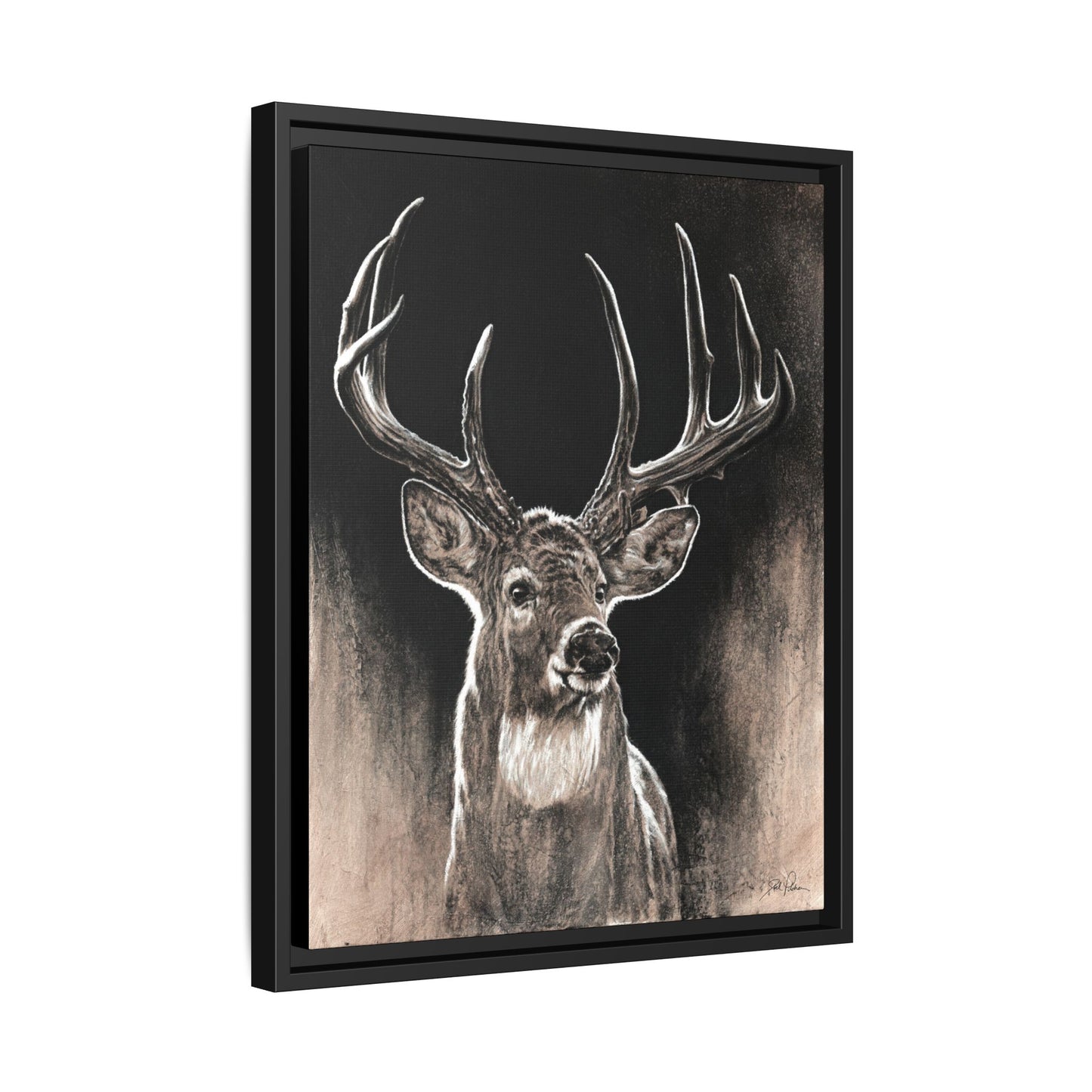 "Backlit Buck" Framed Canvas