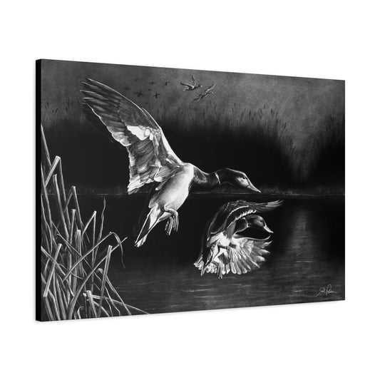 "Banded Brothers" Stretched Canvas