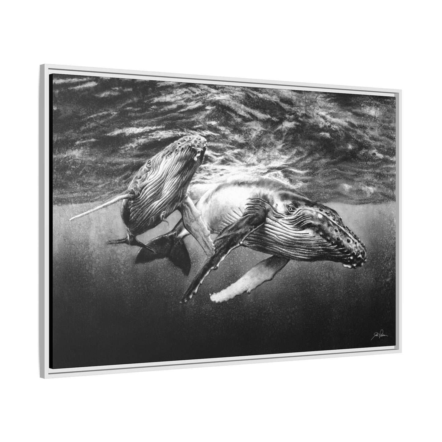 "Humpback Whales" Framed Canvas