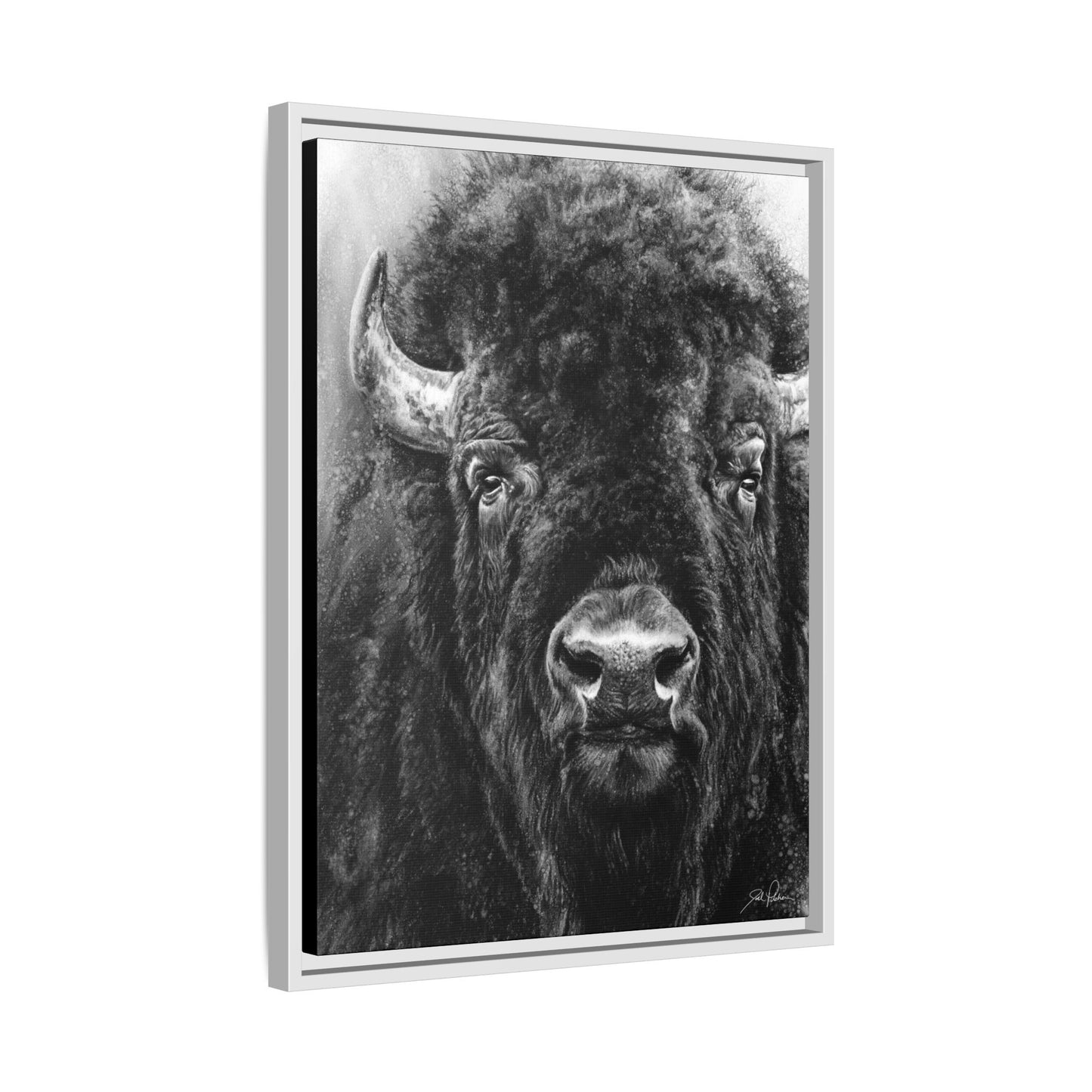 "Tatanka" Framed Canvas