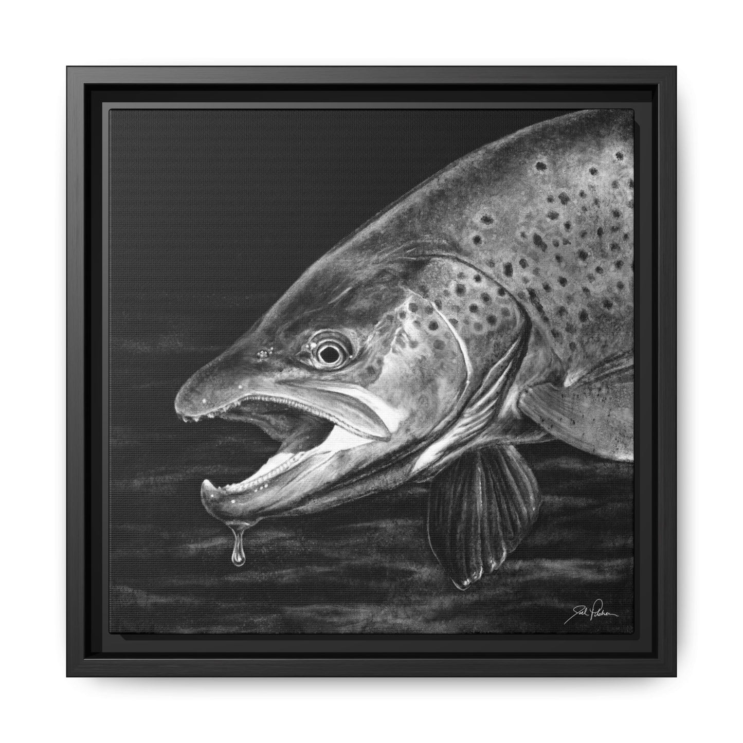 "Brown Trout" Framed Canvas