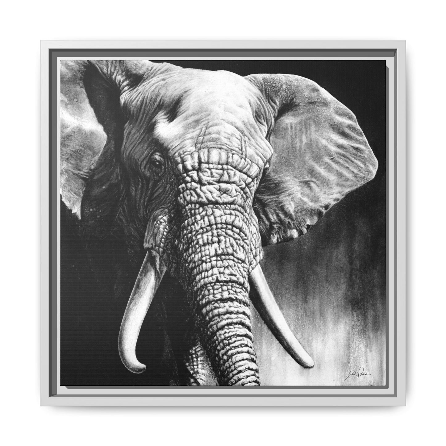 "High & Mighty" Framed Canvas
