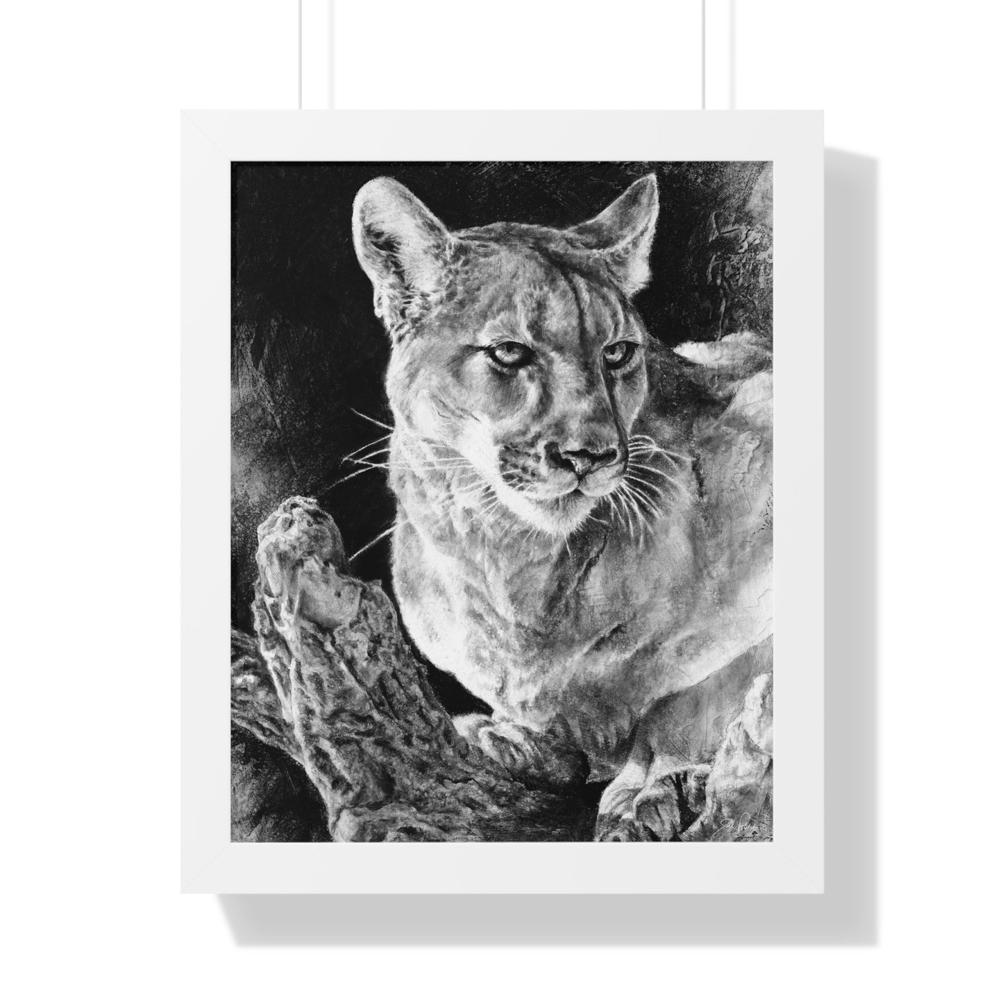 "Mountain Lion" Framed Paper Print