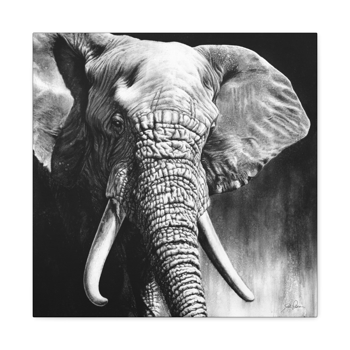 "High & Mighty" Stretched Canvas