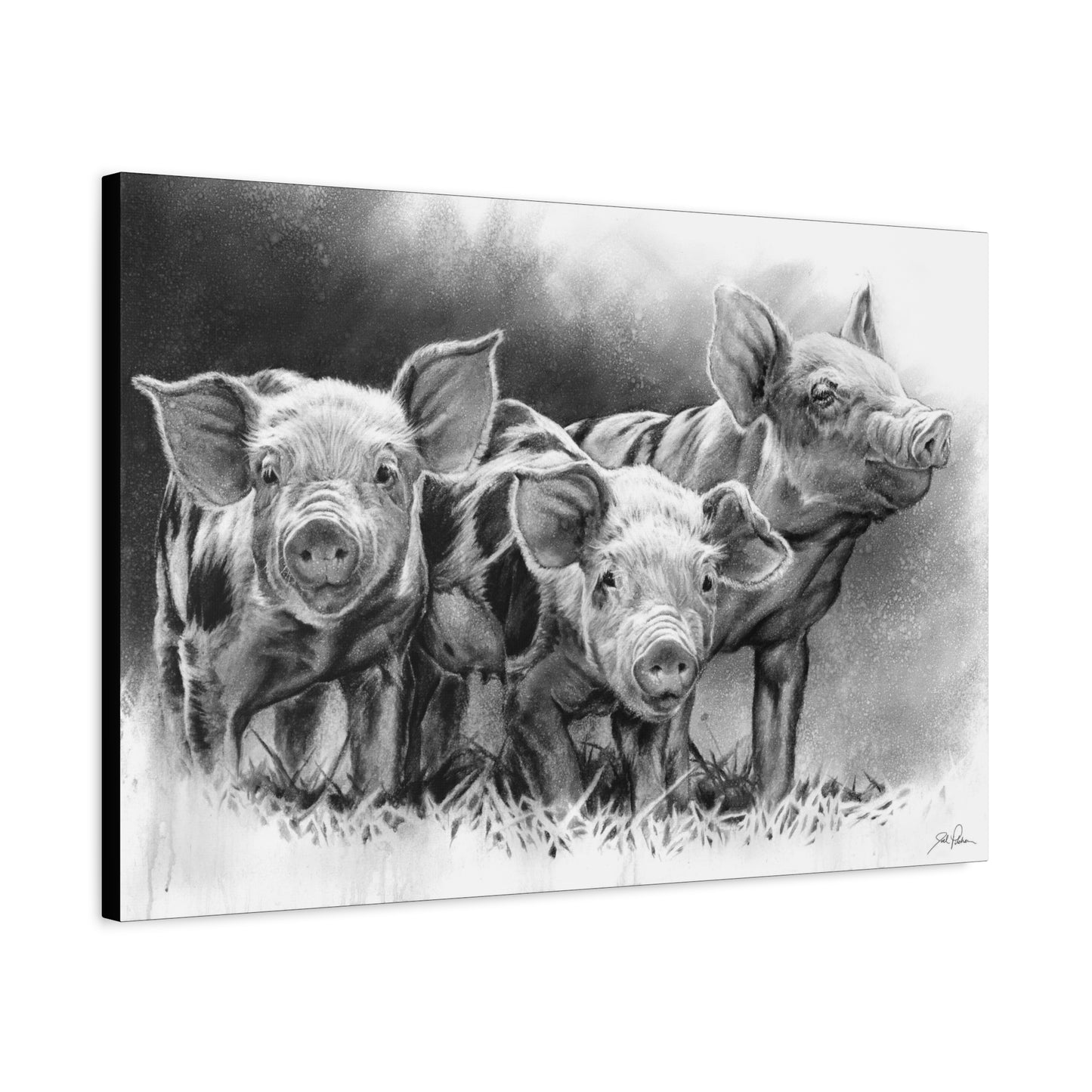 "Pig Tales" Stretched Canvas