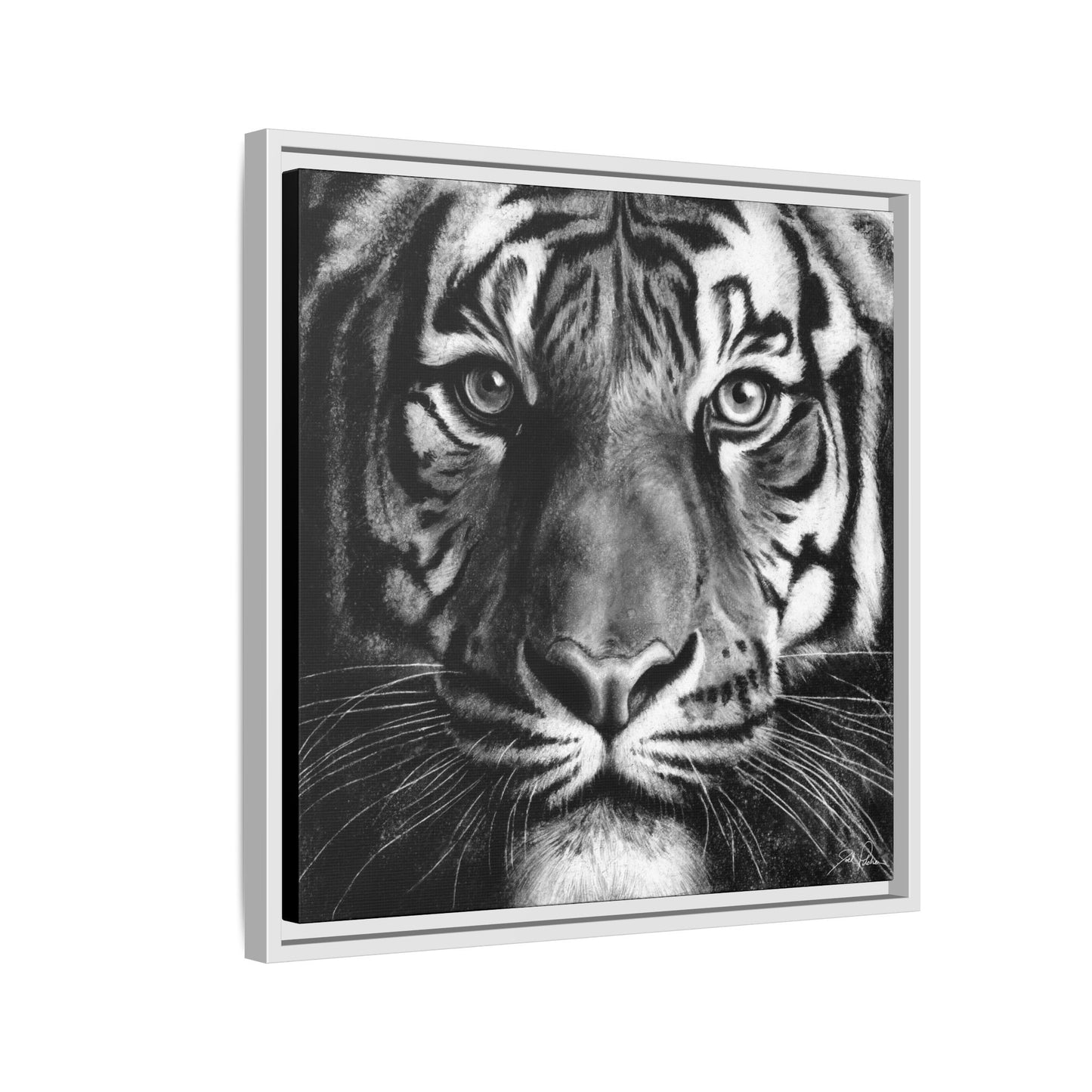 "Tiger" Framed Canvas