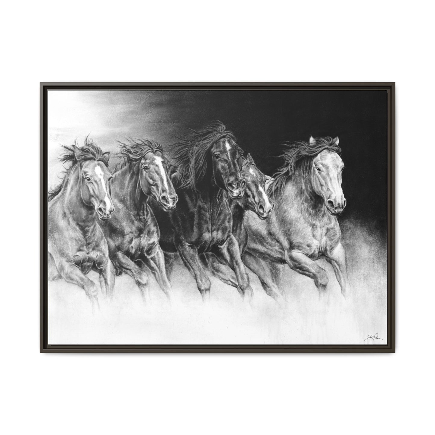 "Wild Bunch" Framed Canvas
