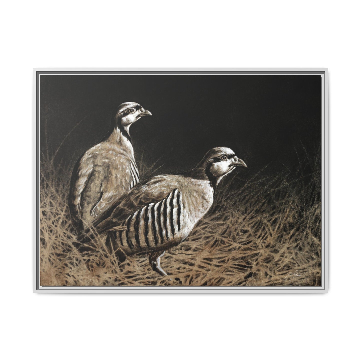 "Chukars" Framed Canvas