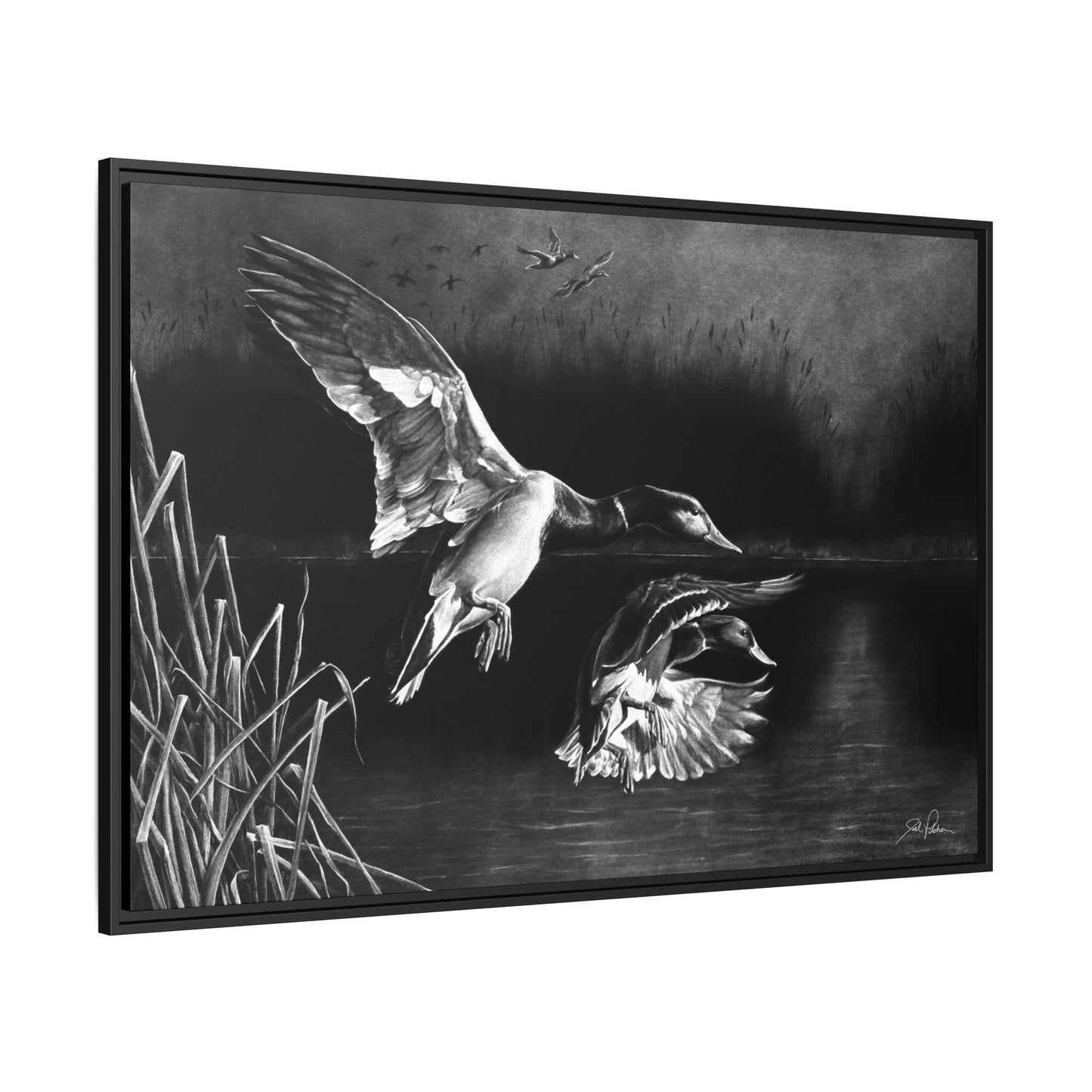 "Banded Brothers" Framed Canvas
