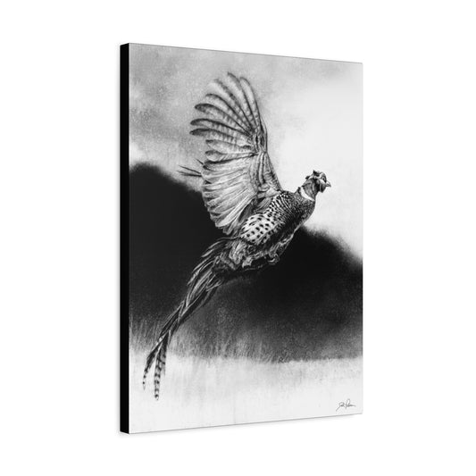 "Flushed" Stretched Canvas