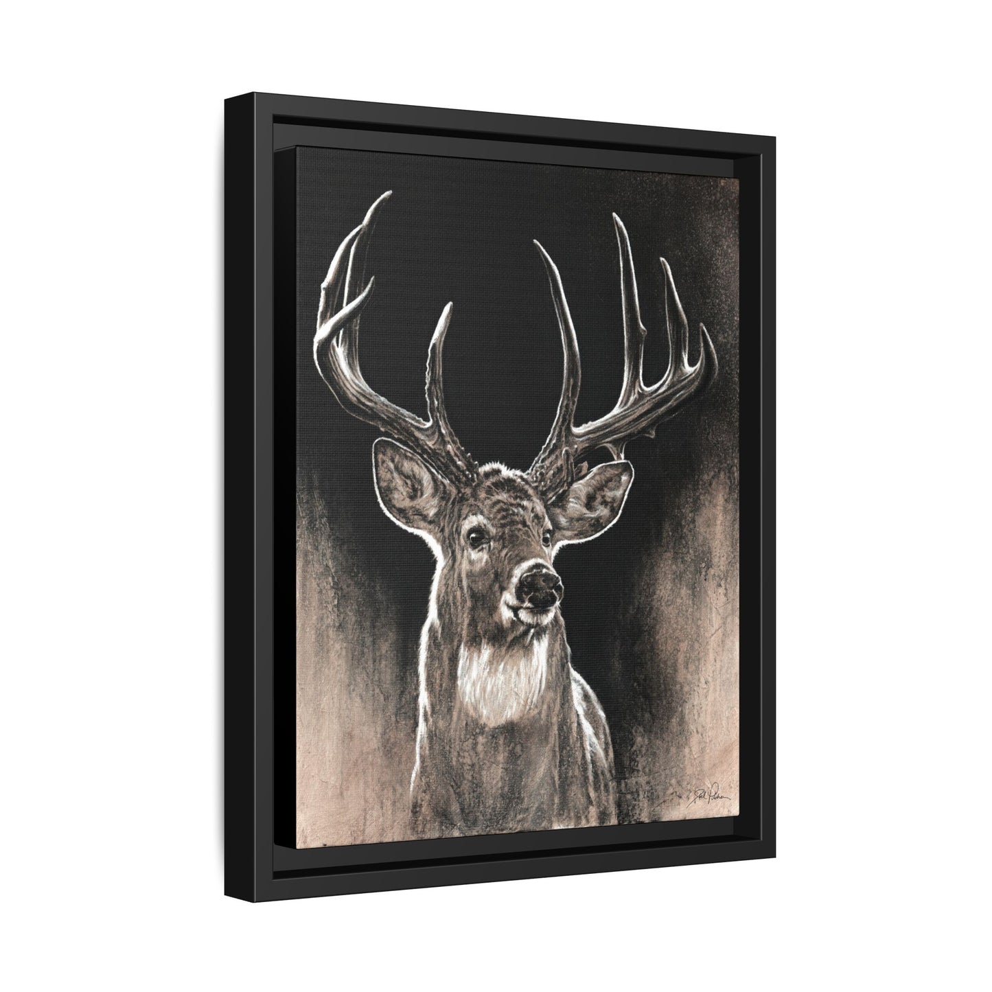 "Backlit Buck" Framed Canvas