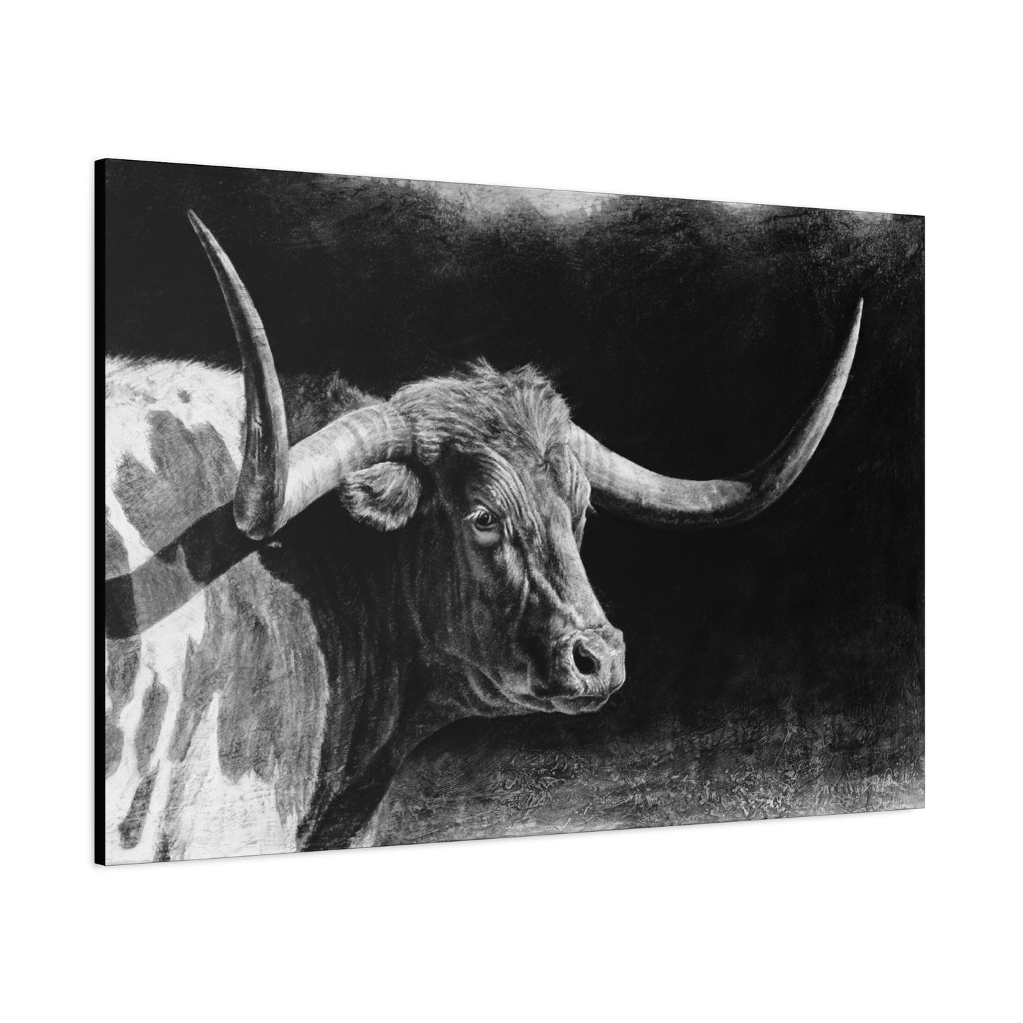 "Longhorn II" Stretched Canvas