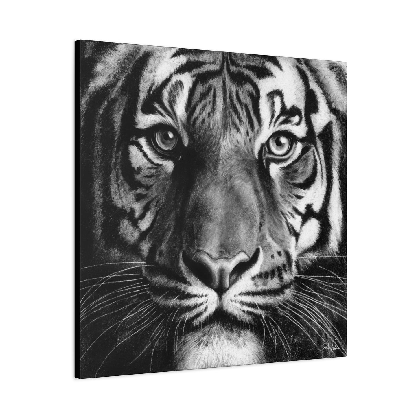 "Tiger" Stretched Canvas