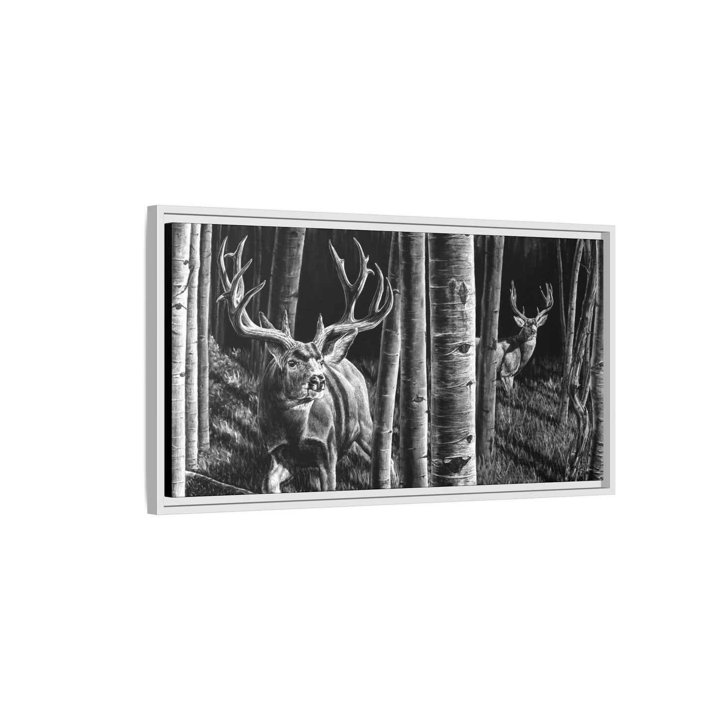 "Out of the Shadows" Framed Canvas